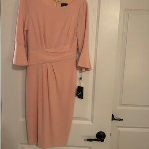 NEW Adrianna Papell Soft Blush Rio Knit Draped Sheath Dress Size 2
